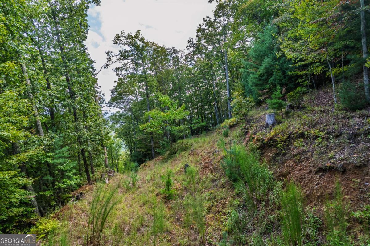 0 Dusty Danno Trail Mineral Bluff GA 30559