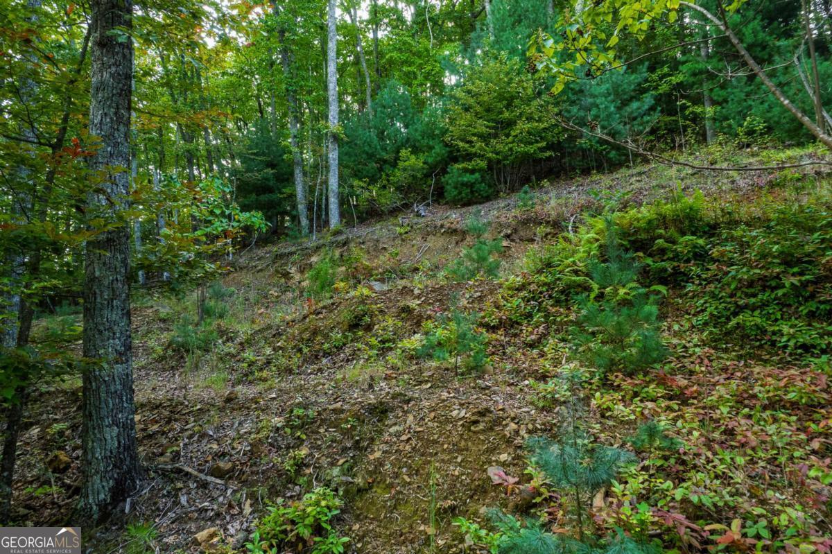 0 Dusty Danno Trail Mineral Bluff GA 30559