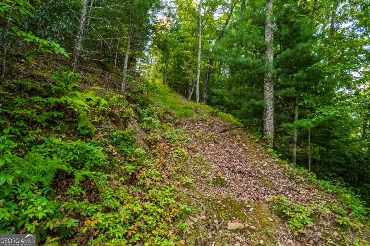 0 Dusty Danno Trail Mineral Bluff GA 30559