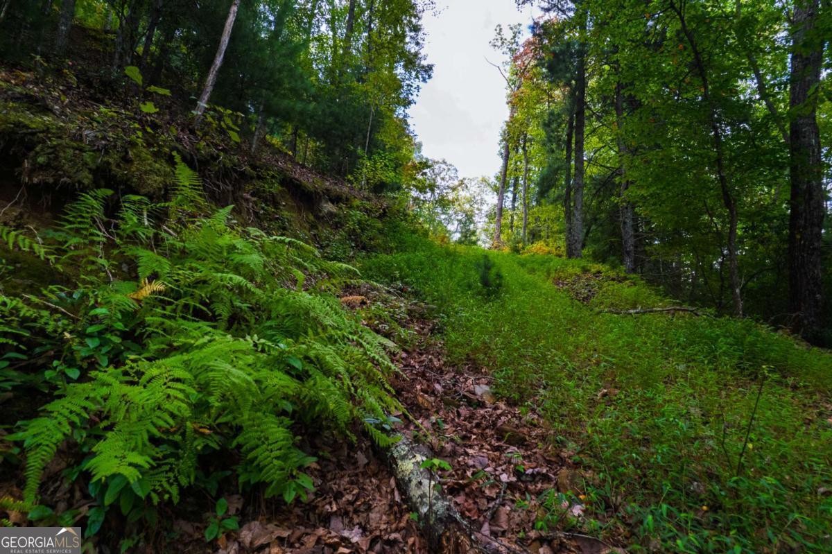 0 Dusty Danno Trail Mineral Bluff GA 30559