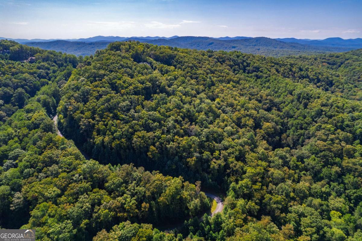 0 Dusty Danno Trail Mineral Bluff GA 30559
