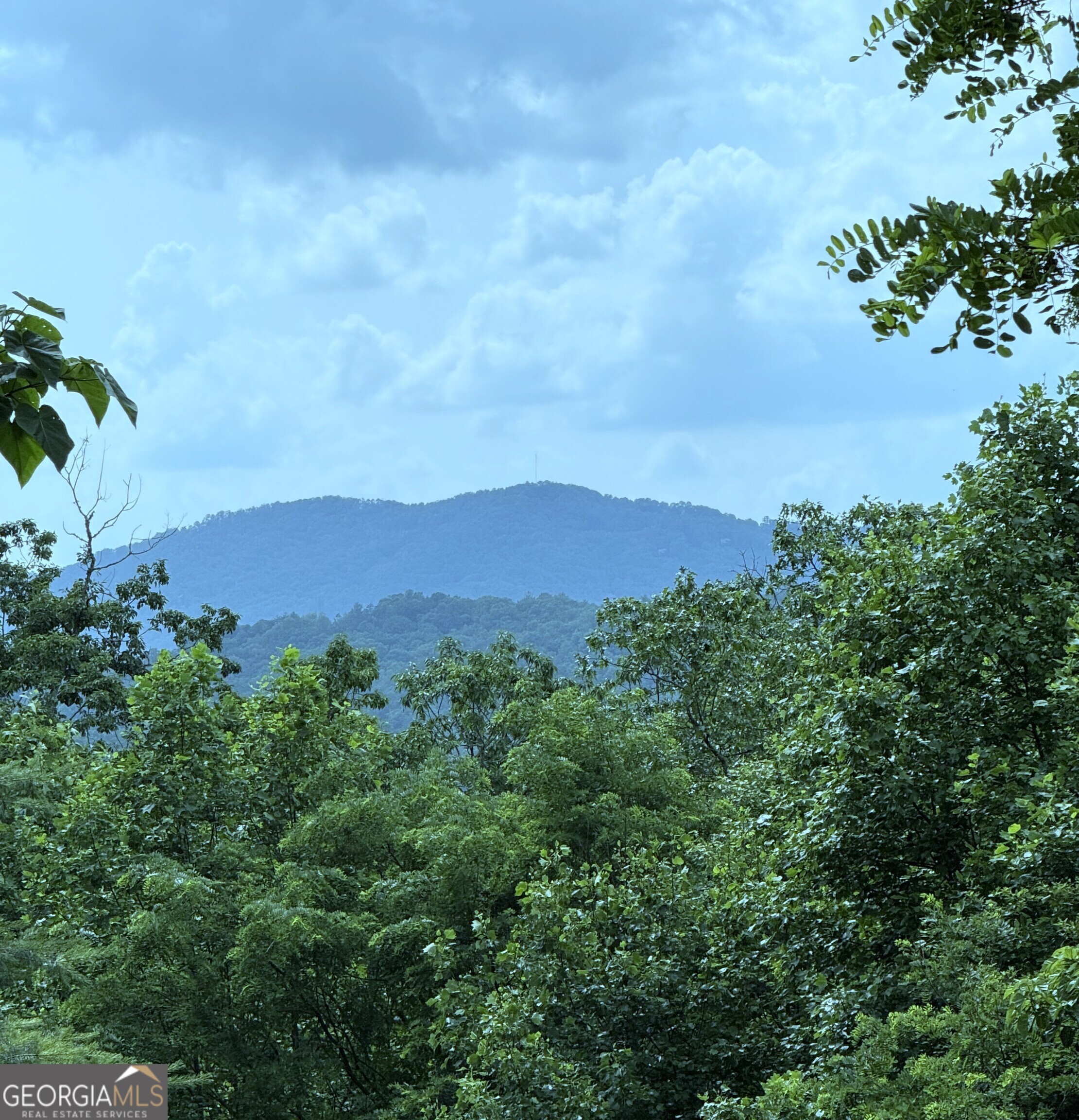 0 Dusty Danno Trail Mineral Bluff GA 30559