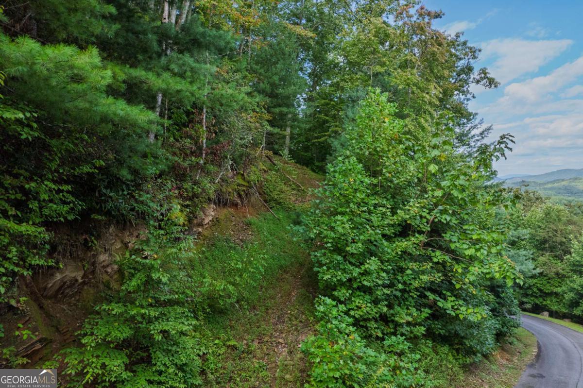 0 Dusty Danno Trail Mineral Bluff GA 30559