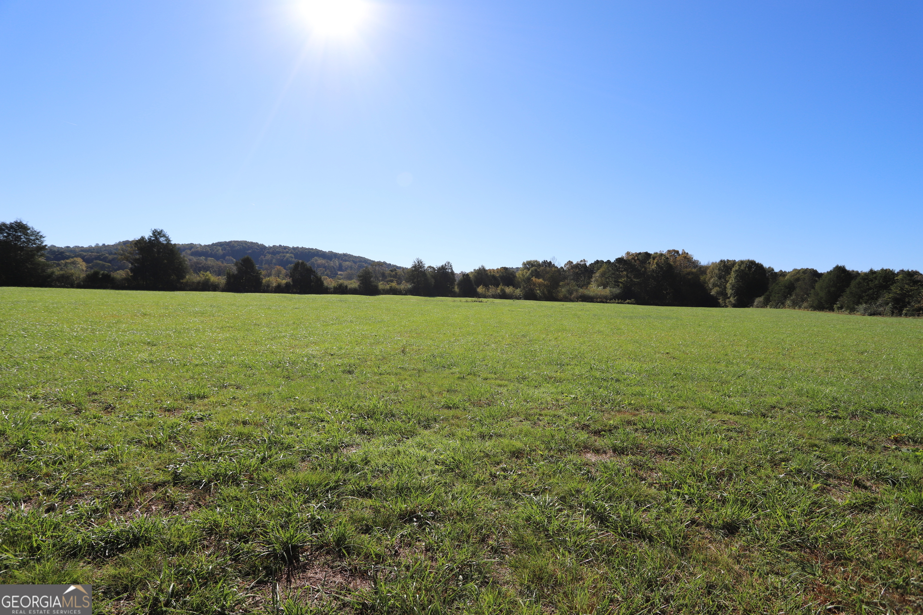 46 Buck Gardner Road Menlo GA 30731