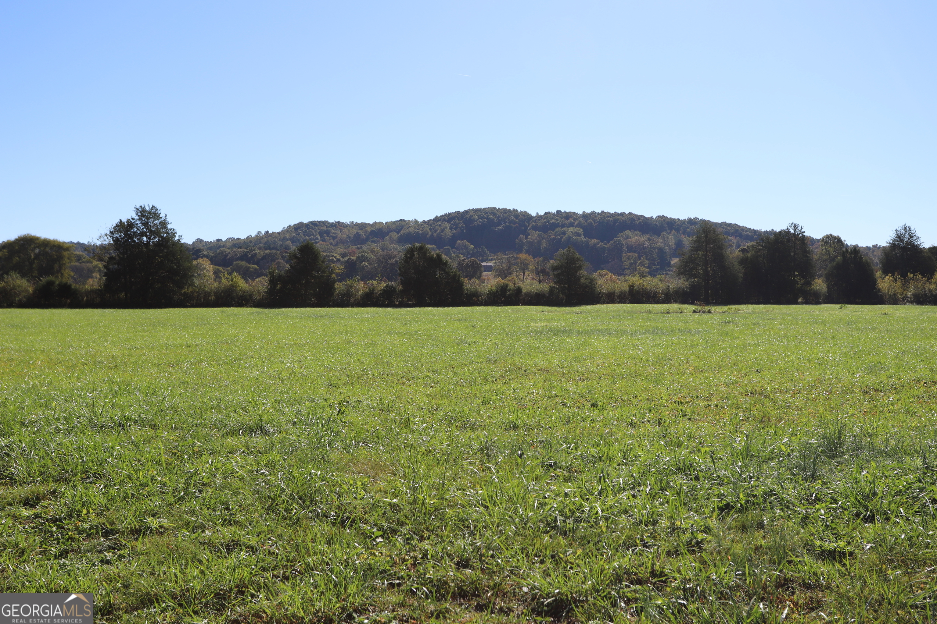 46 Buck Gardner Road Menlo GA 30731