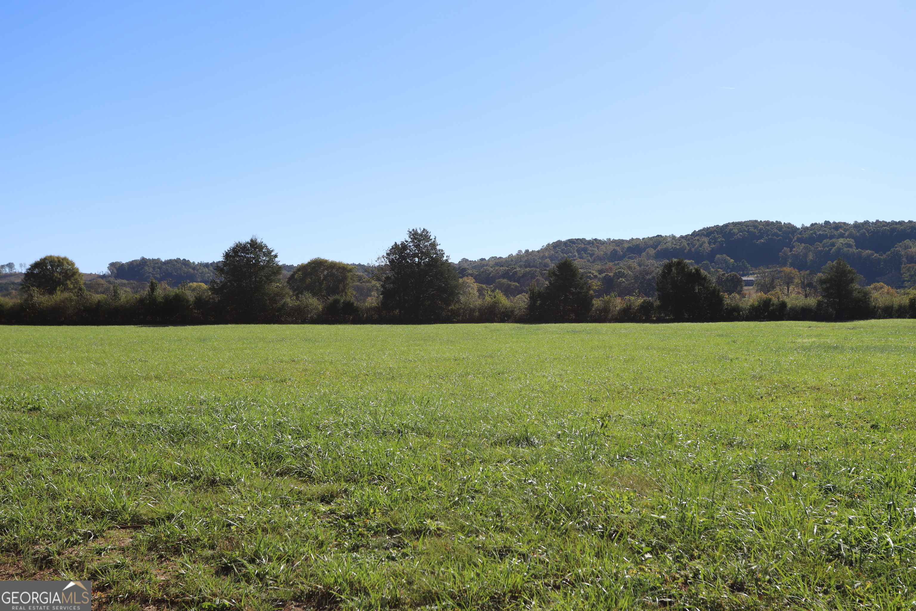 46 Buck Gardner Road Menlo GA 30731