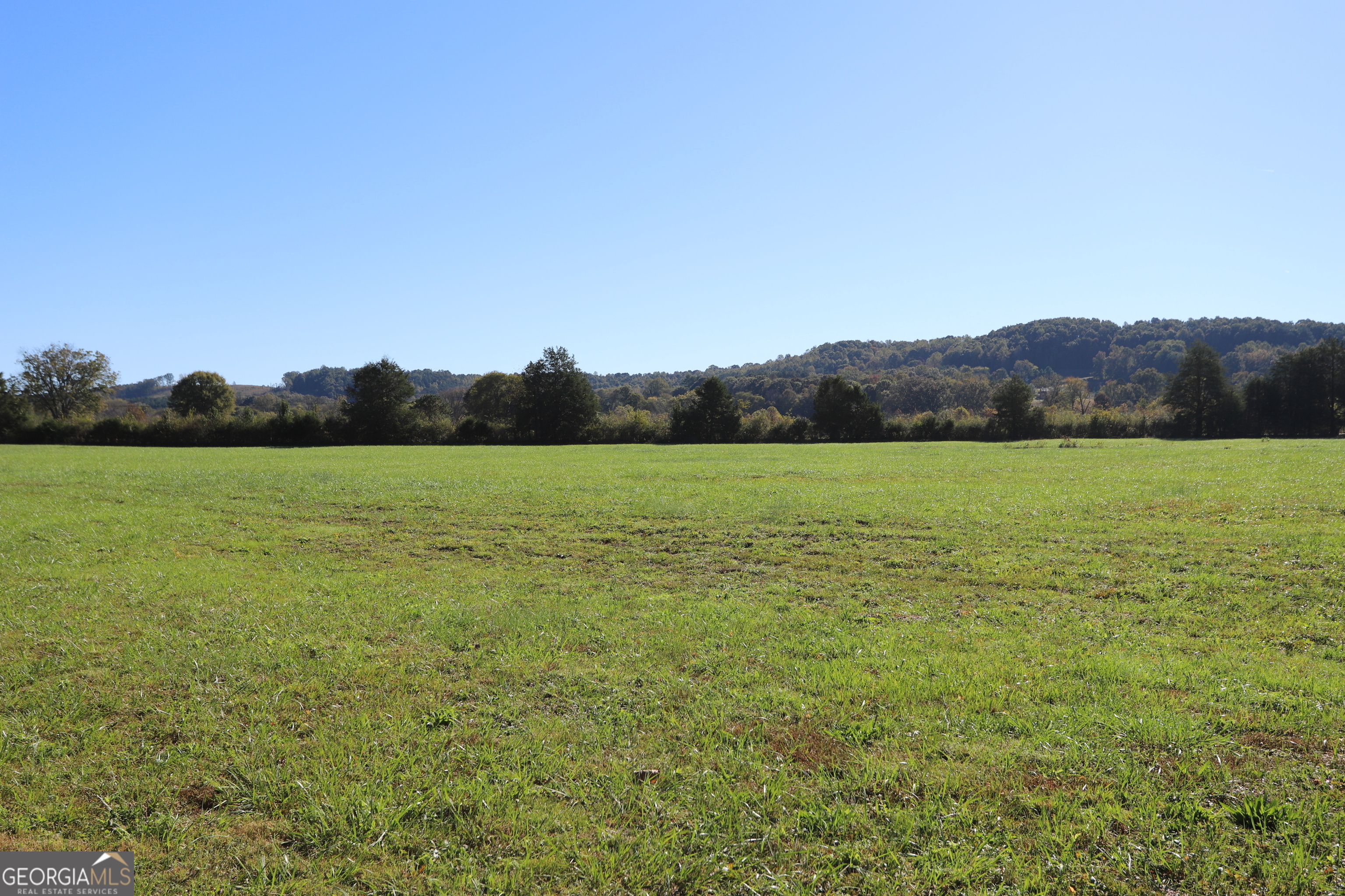 46 Buck Gardner Road Menlo GA 30731