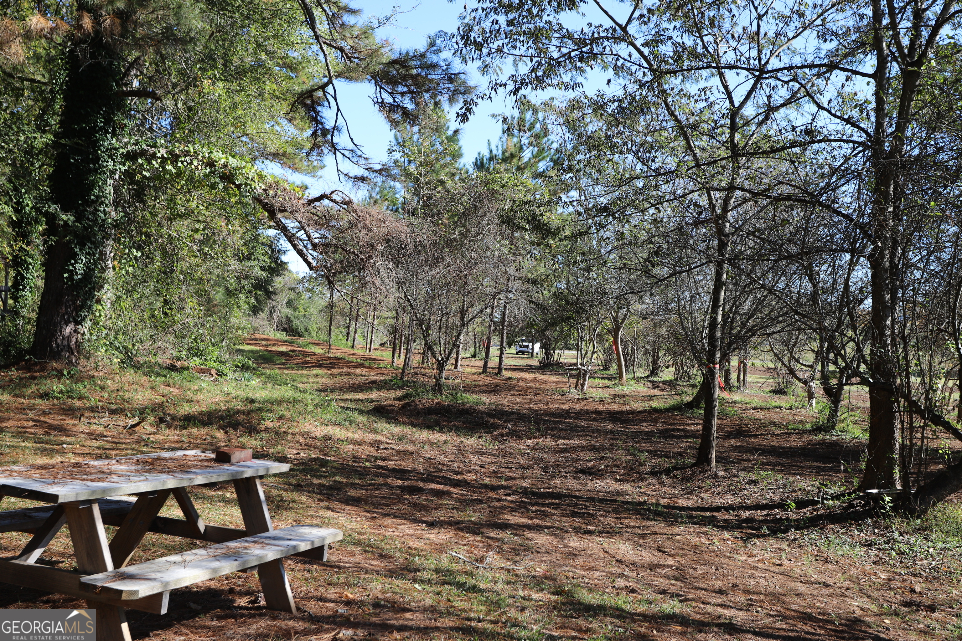 46 Buck Gardner Road Menlo GA 30731