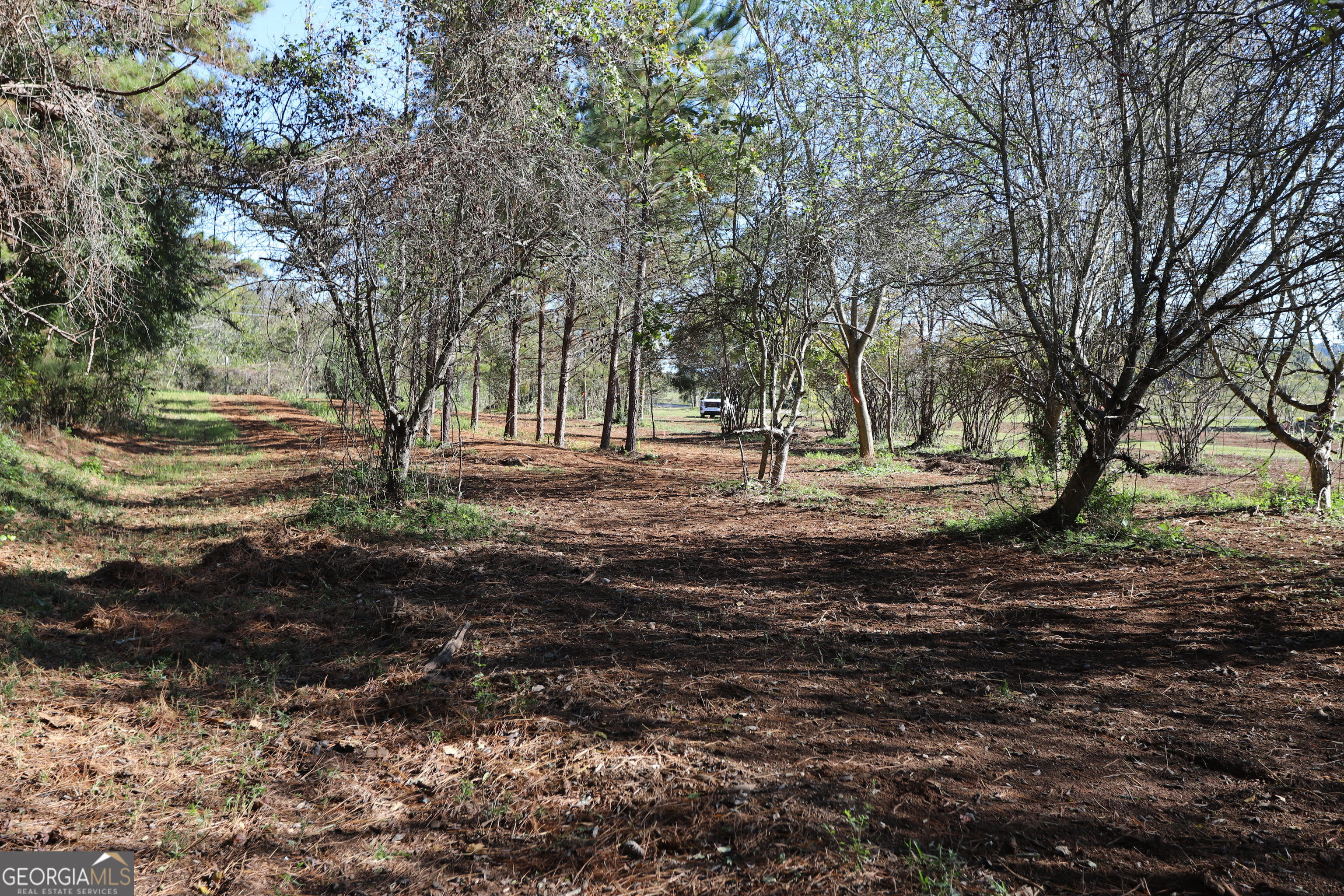 46 Buck Gardner Road Menlo GA 30731