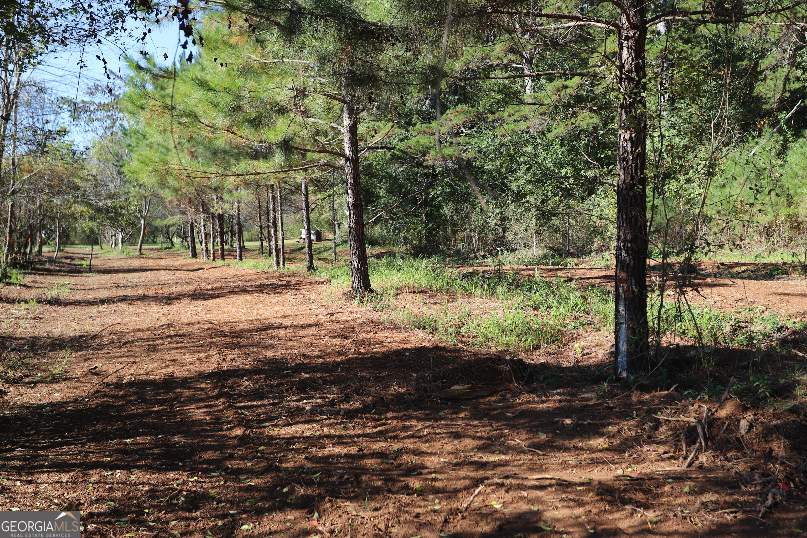 46 Buck Gardner Road Menlo GA 30731