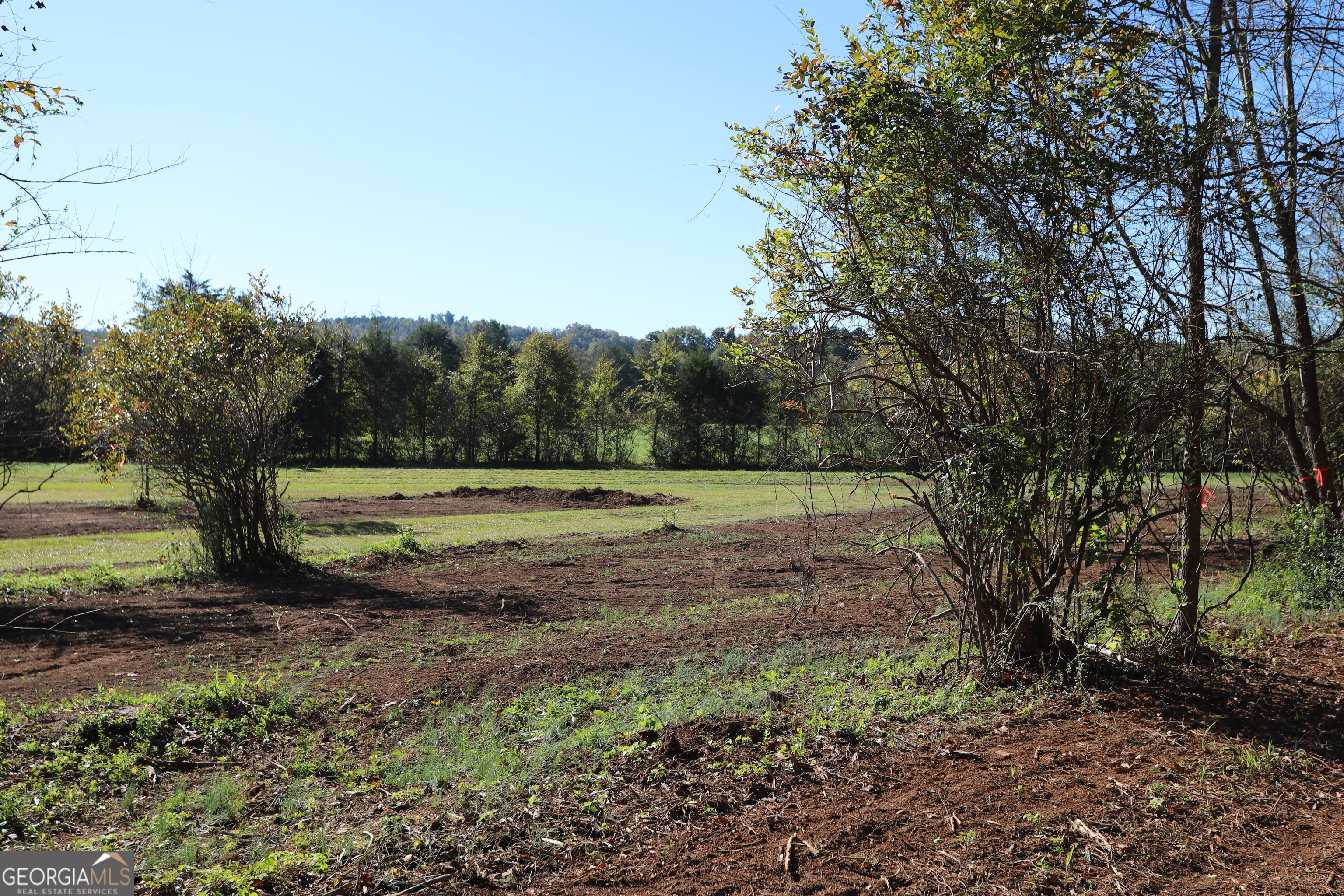 46 Buck Gardner Road Menlo GA 30731
