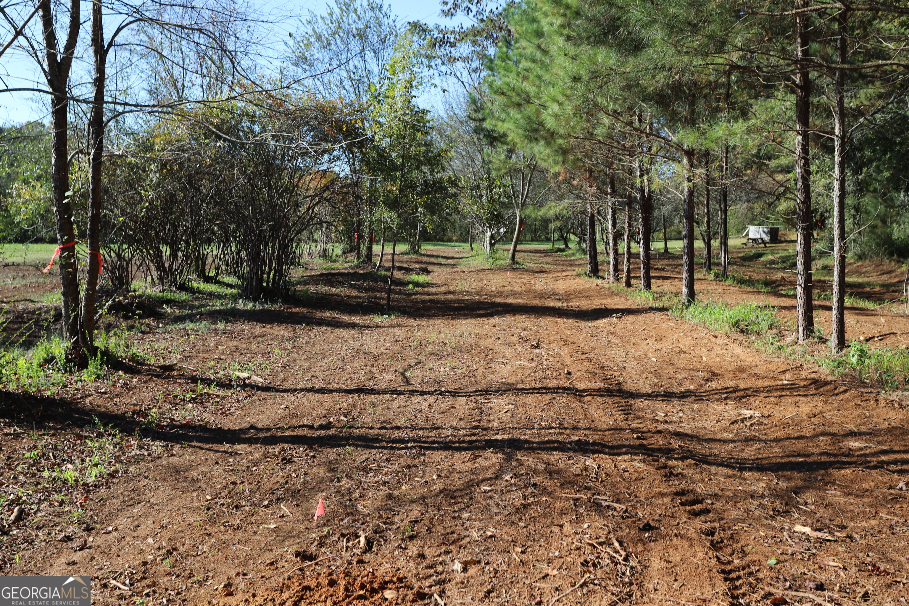 46 Buck Gardner Road Menlo GA 30731