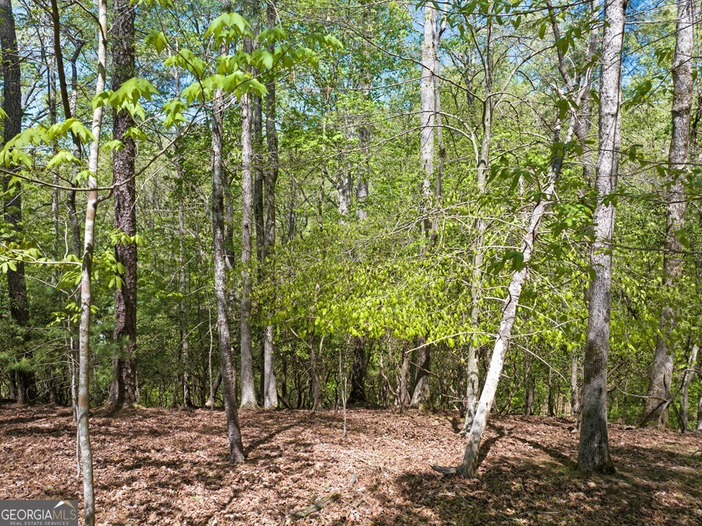 Lot 560 Chattle Way Ellijay GA 30540