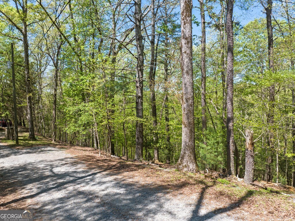 Lot 560 Chattle Way Ellijay GA 30540