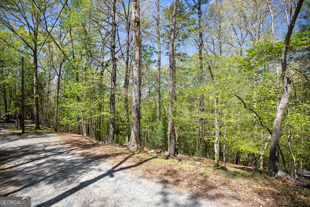 Lot 560 Chattle Way Ellijay GA 30540