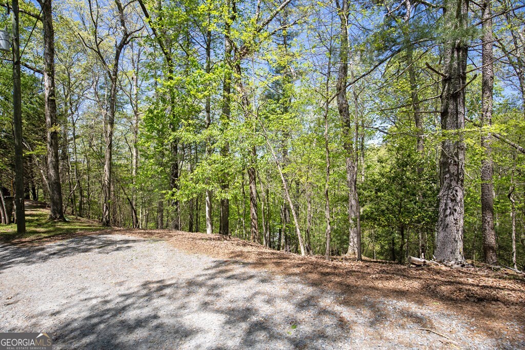 Lot 560 Chattle Way Ellijay GA 30540
