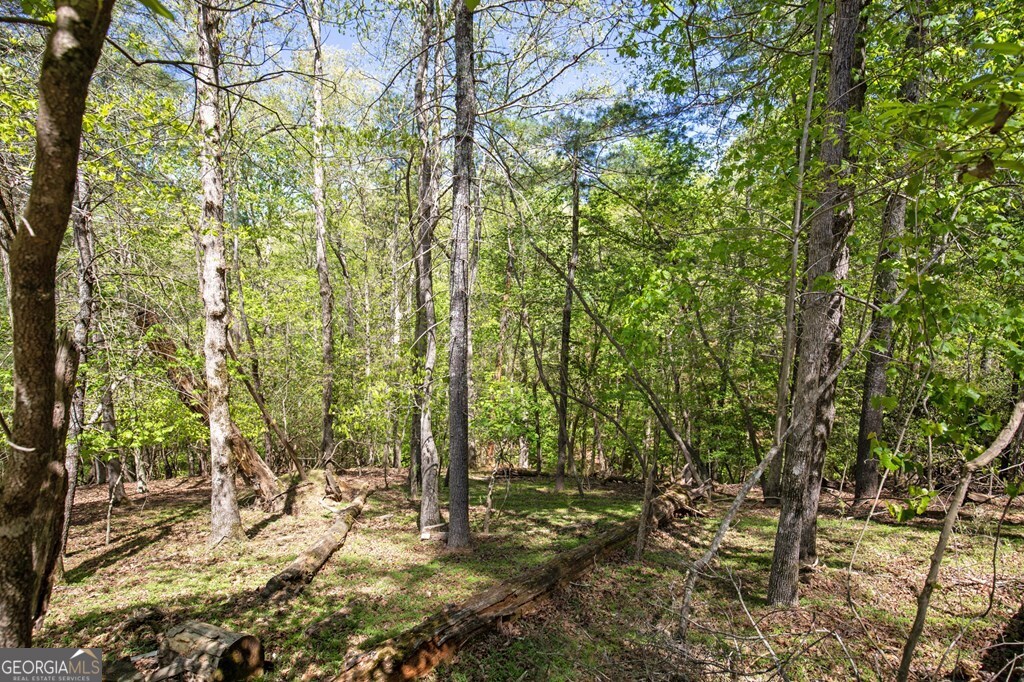Lot 560 Chattle Way Ellijay GA 30540