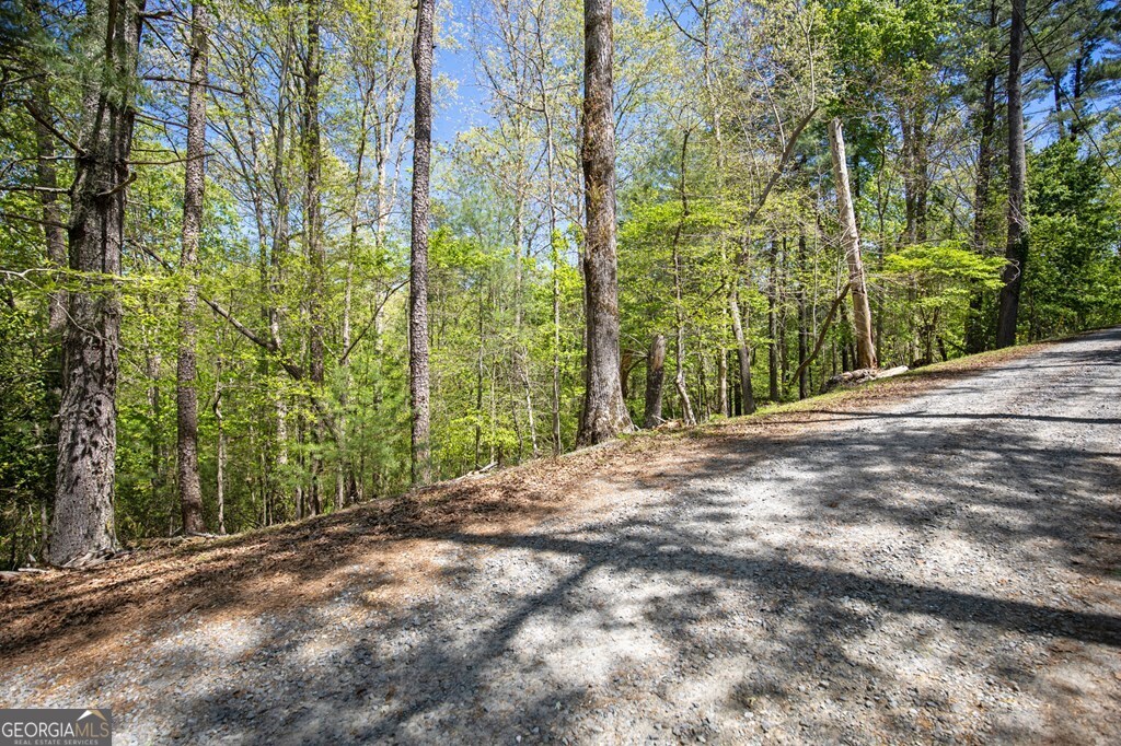 Lot 560 Chattle Way Ellijay GA 30540