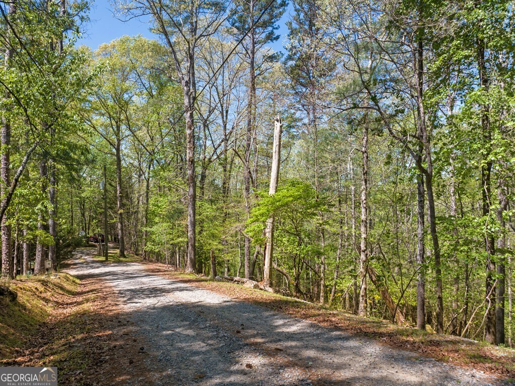 Lot 560 Chattle Way Ellijay GA 30540