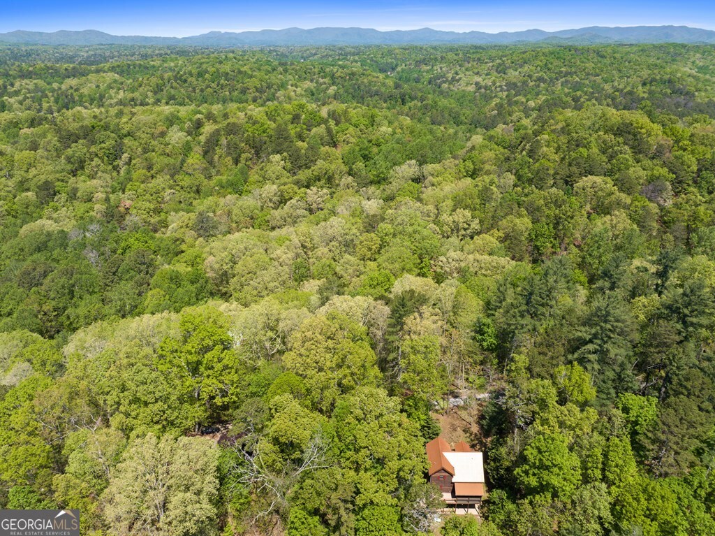Lot 560 Chattle Way Ellijay GA 30540