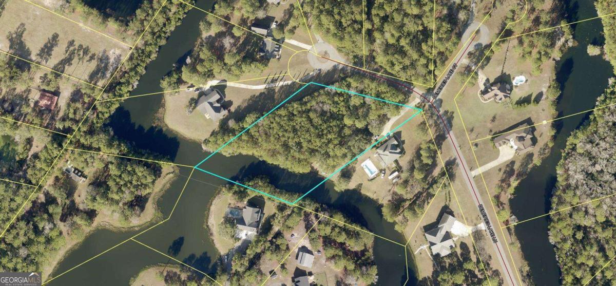 187 Demeries Lake Lane Richmond Hill GA 31324