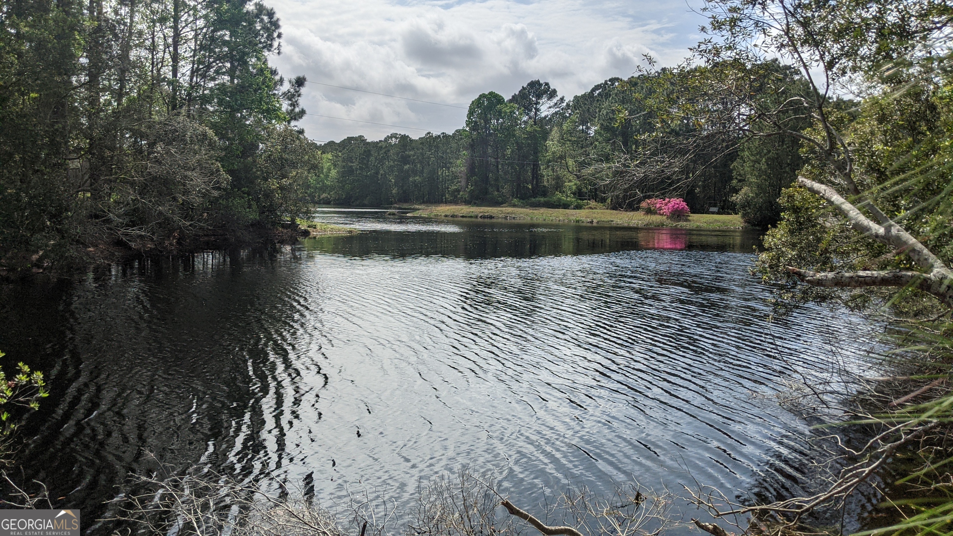 187 Demeries Lake Lane Richmond Hill GA 31324