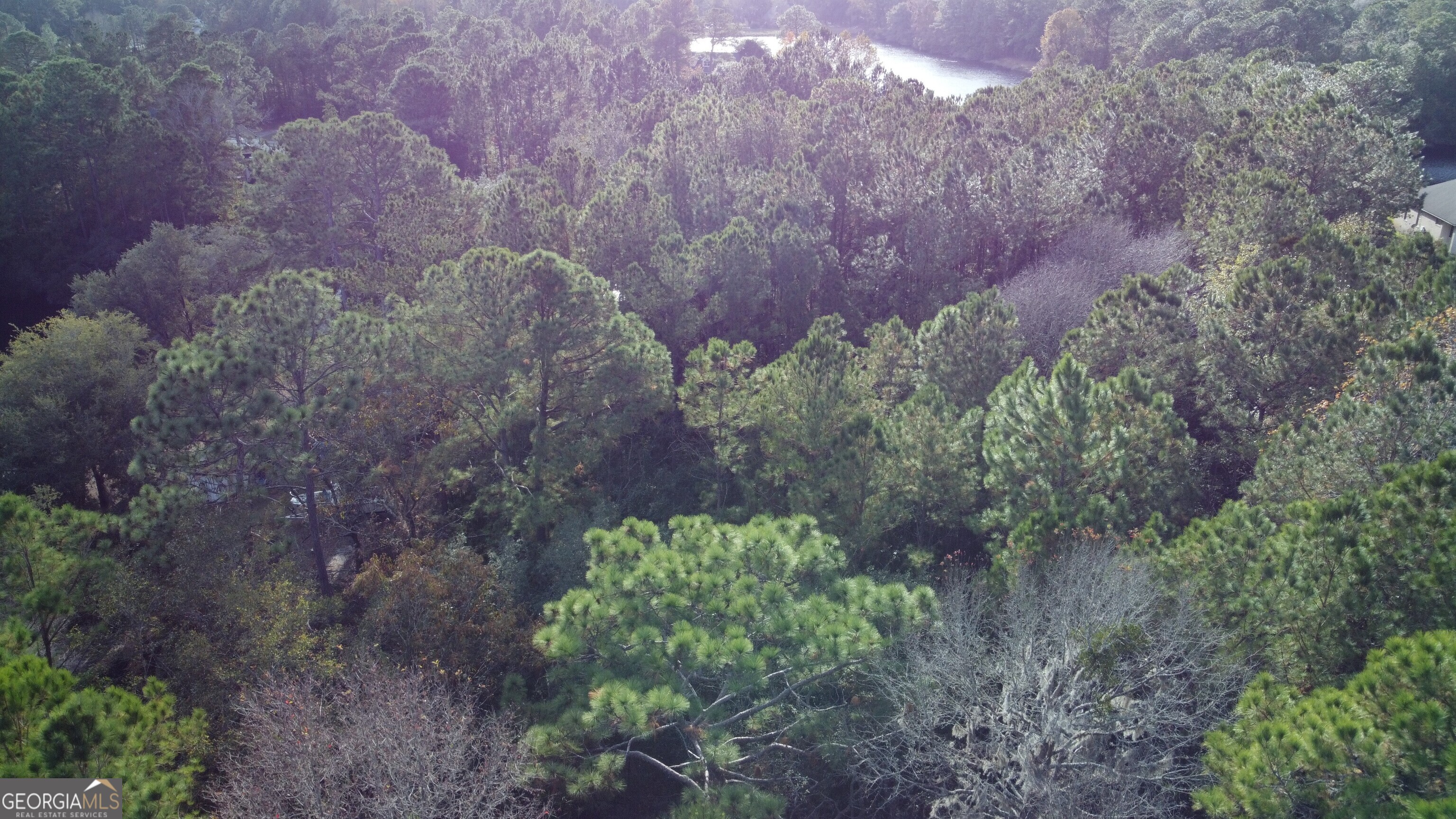 187 Demeries Lake Lane Richmond Hill GA 31324