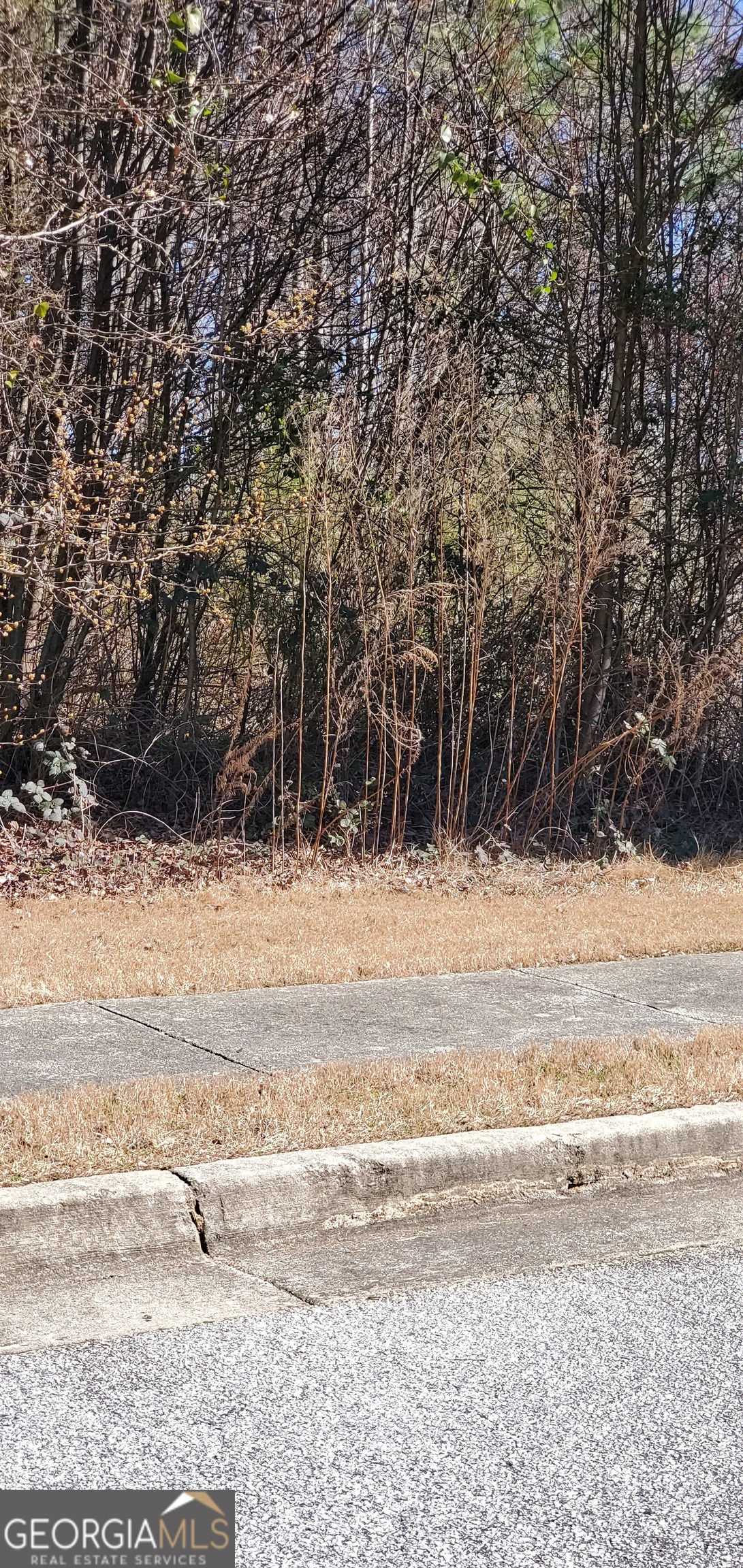 3452 Tiffany Cove Drive Loganville GA 30052