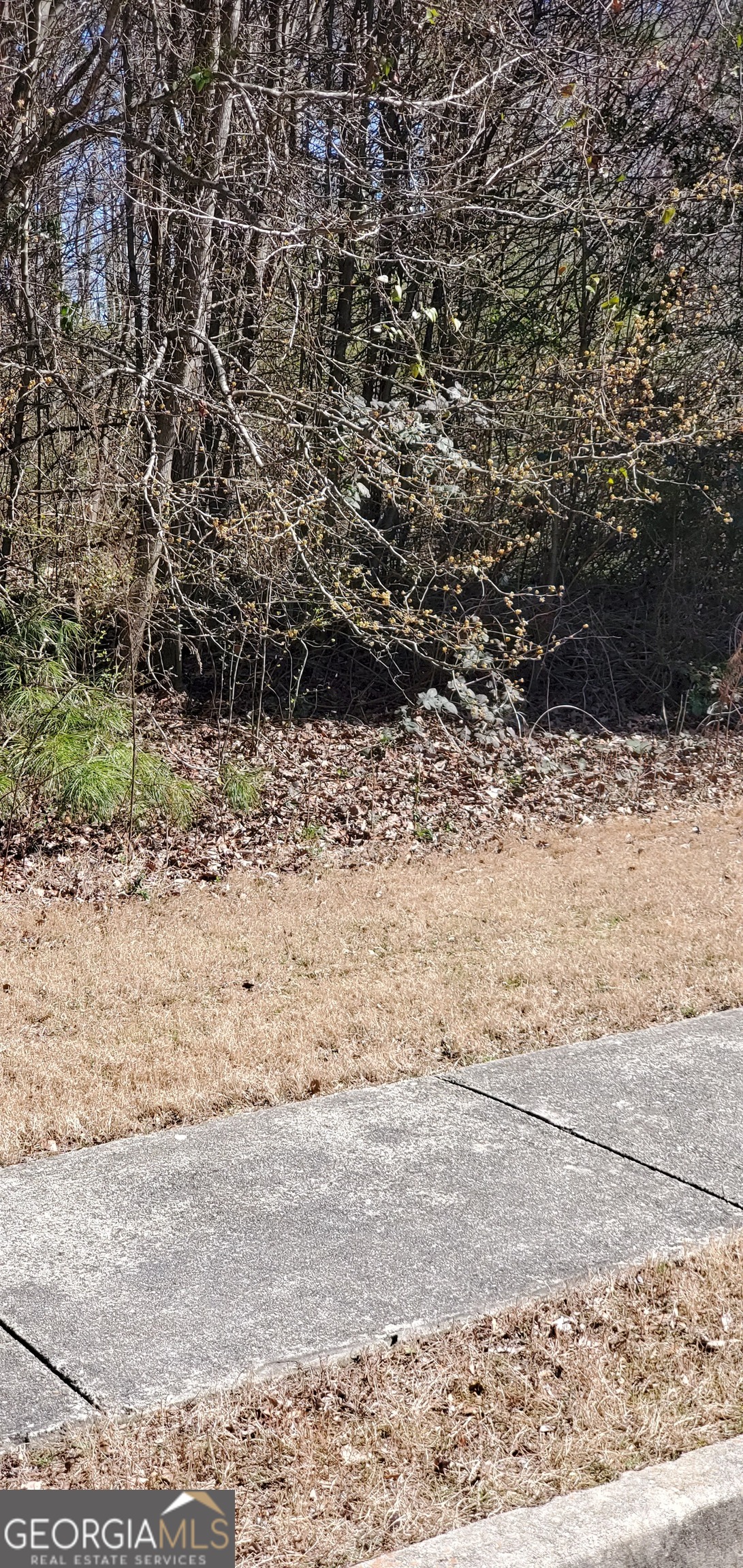 3452 Tiffany Cove Drive Loganville GA 30052