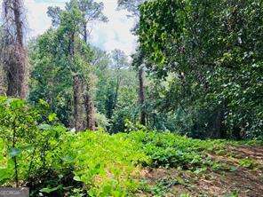 Lot 6 N Riverside Circle Sandy Springs GA 30328
