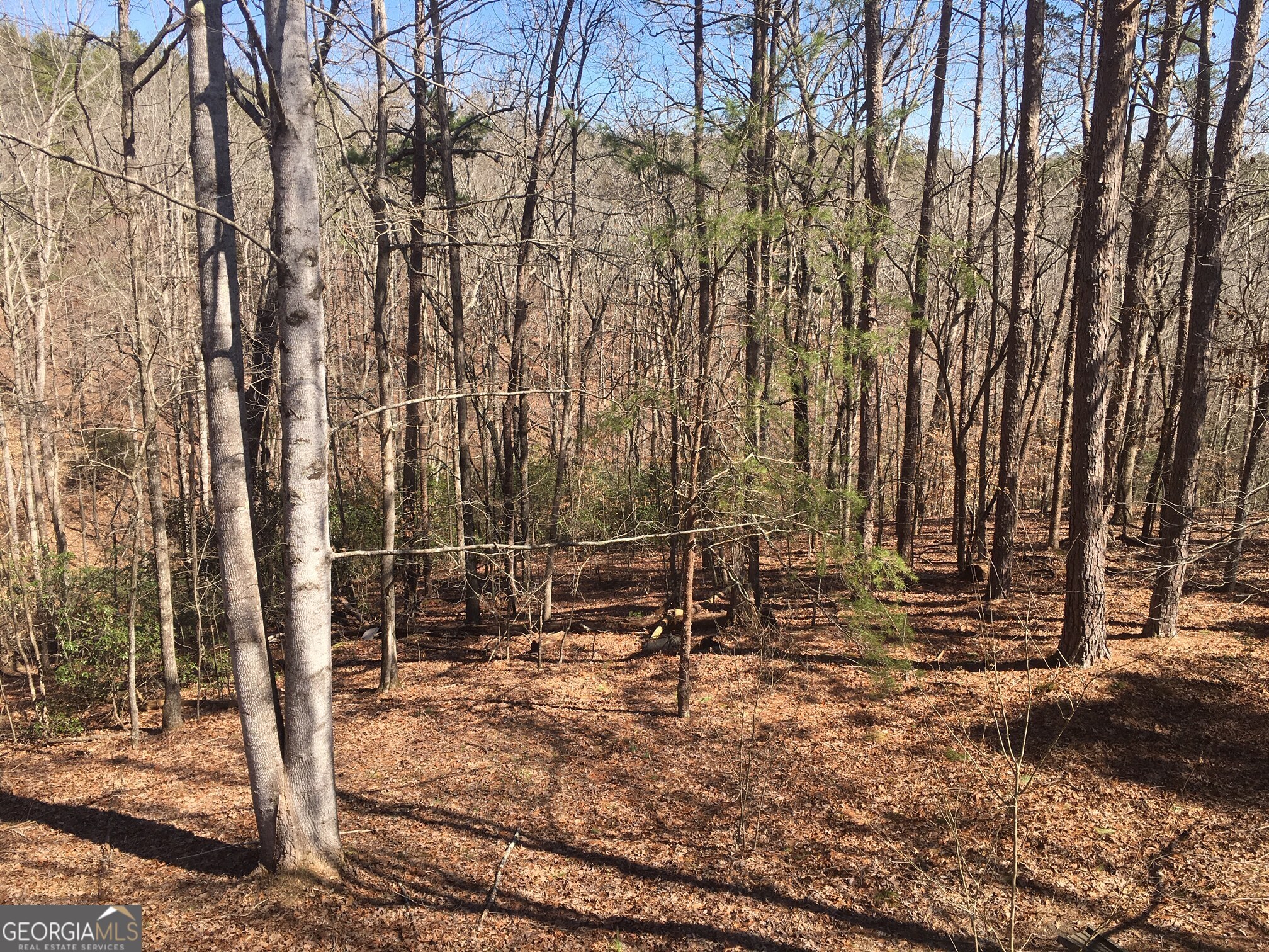 Lot 10 Olivia Lane Ball Ground GA 30107
