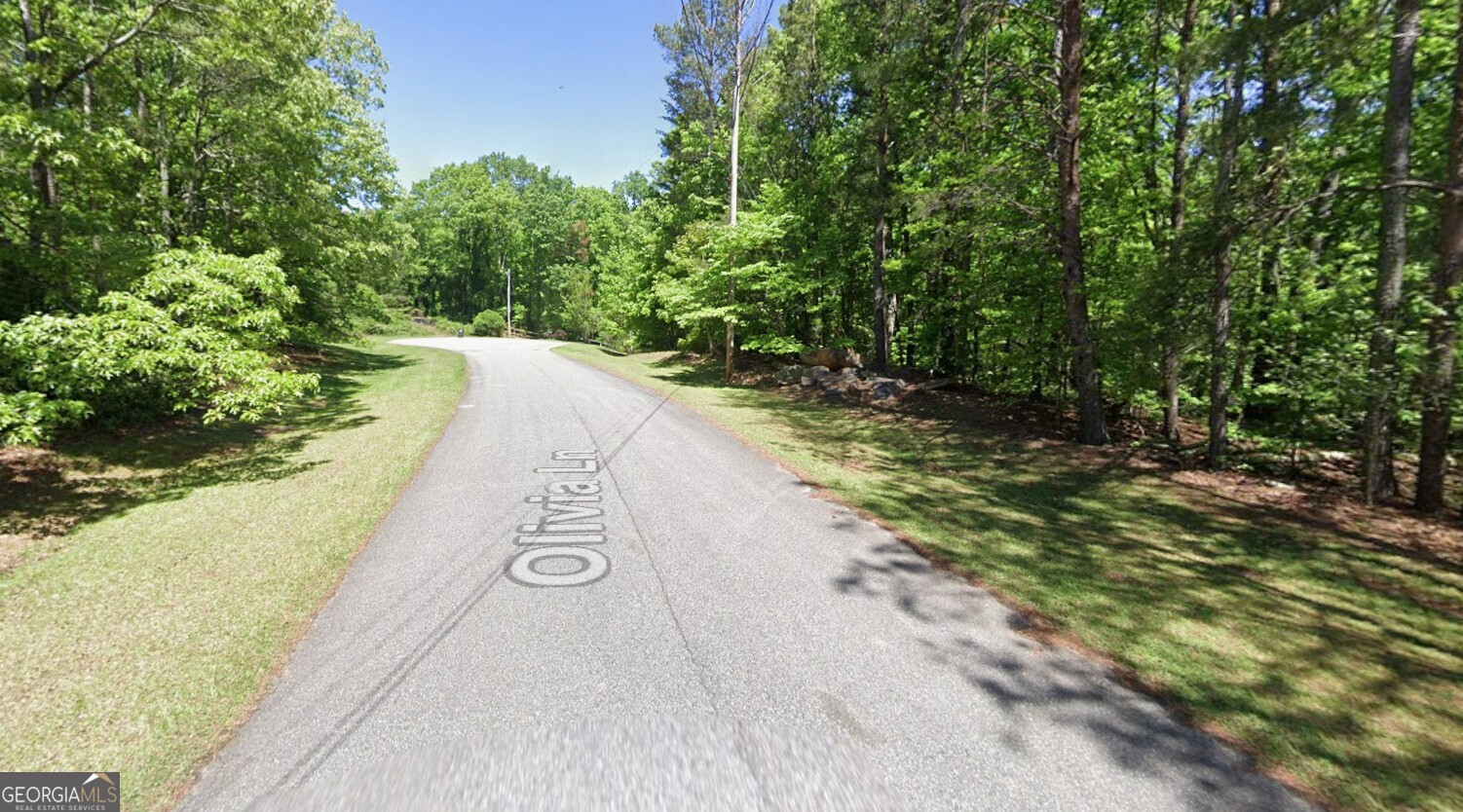 Lot 10 Olivia Lane Ball Ground GA 30107