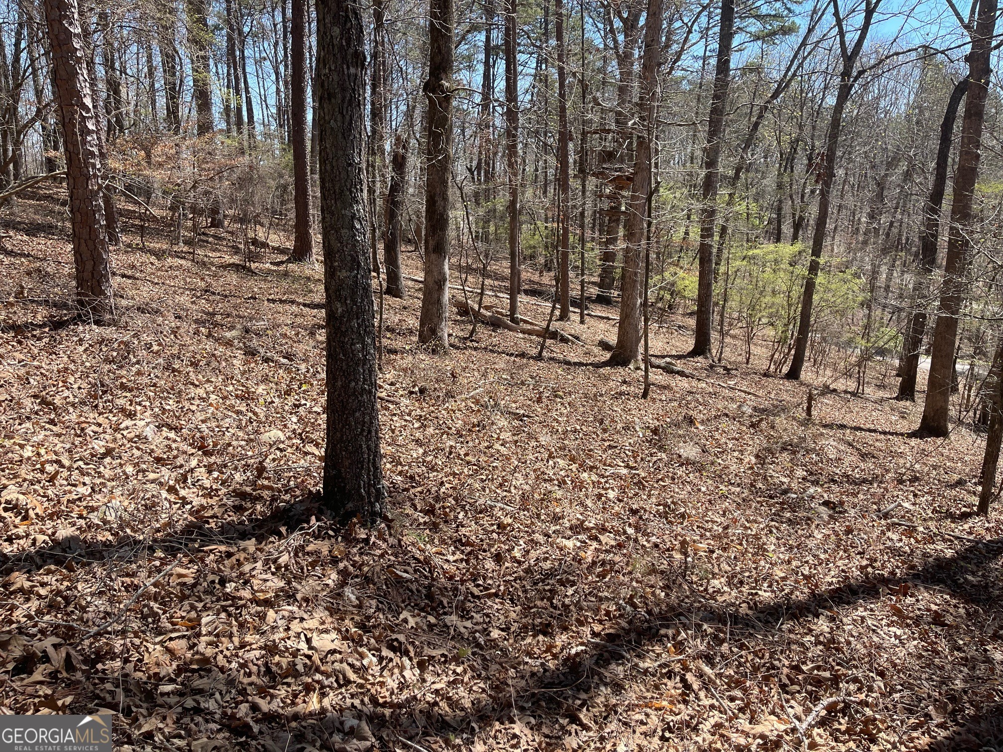 Lot 10 Olivia Lane Ball Ground GA 30107