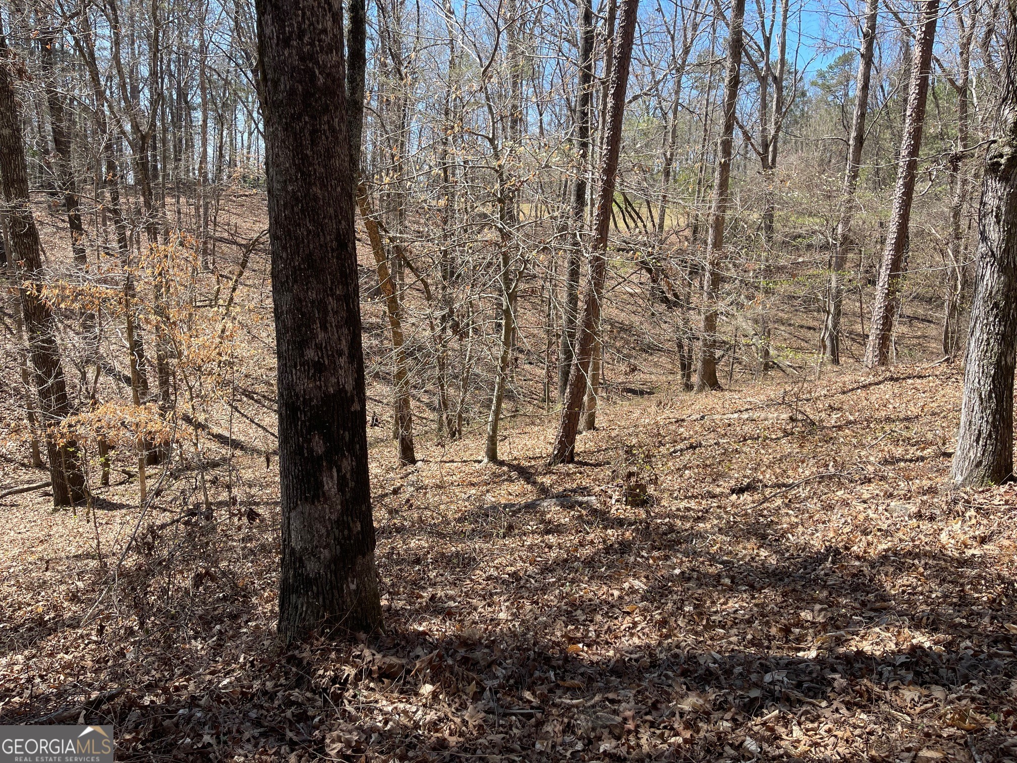 Lot 10 Olivia Lane Ball Ground GA 30107