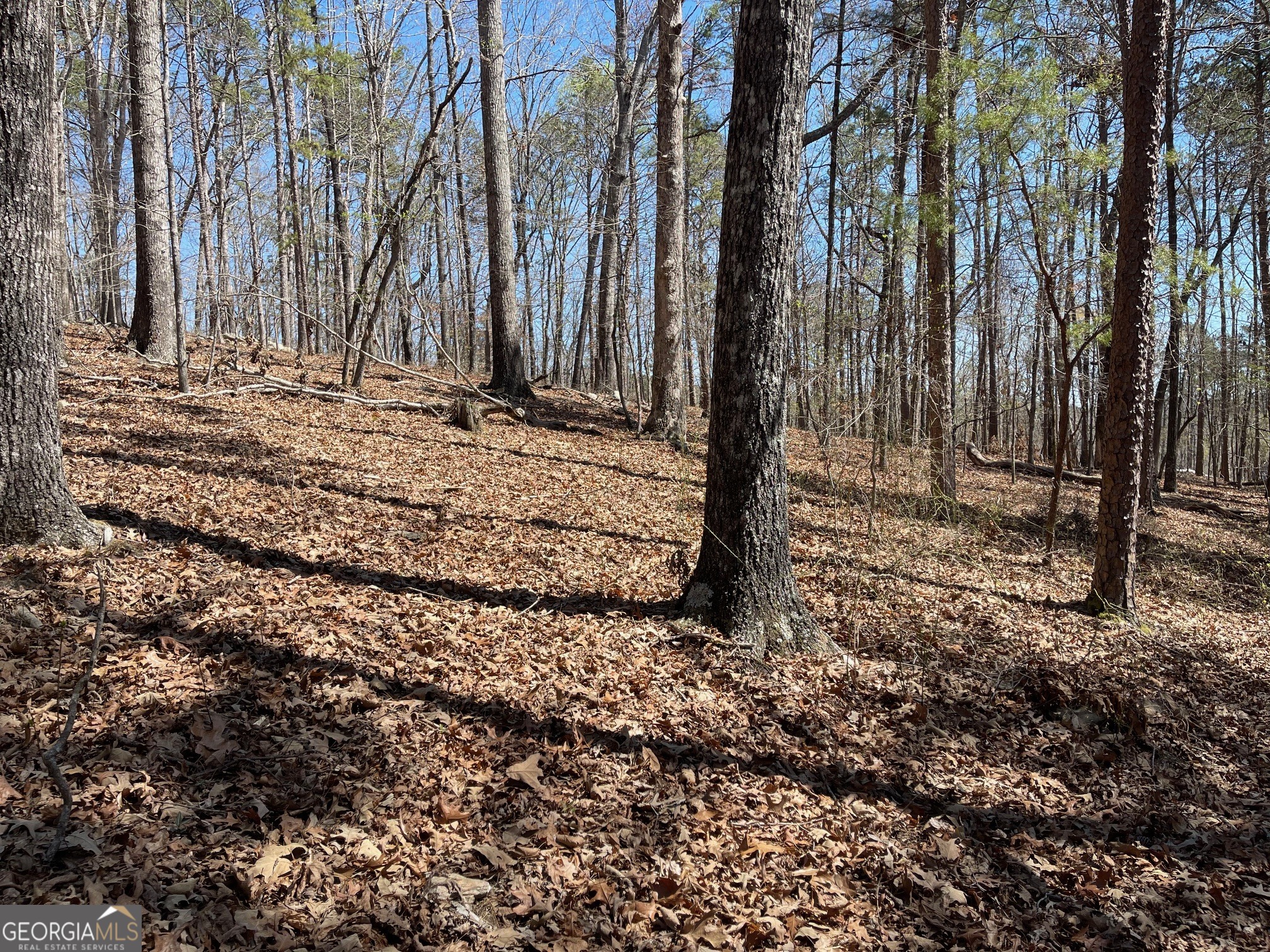 Lot 10 Olivia Lane Ball Ground GA 30107