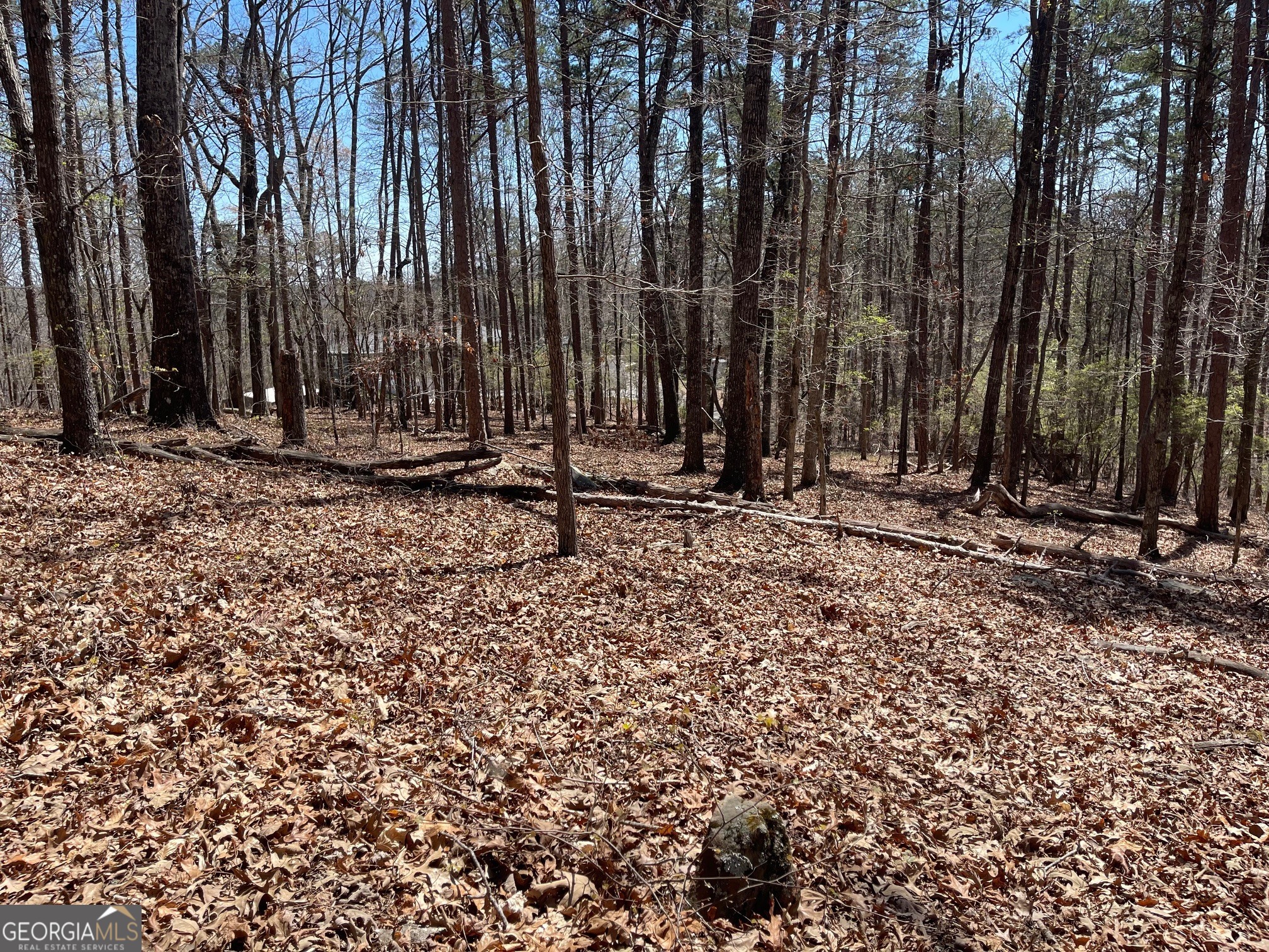 Lot 10 Olivia Lane Ball Ground GA 30107