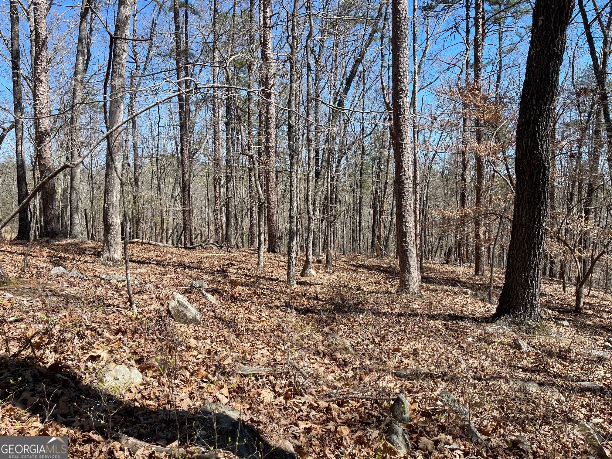 Lot 10 Olivia Lane Ball Ground GA 30107