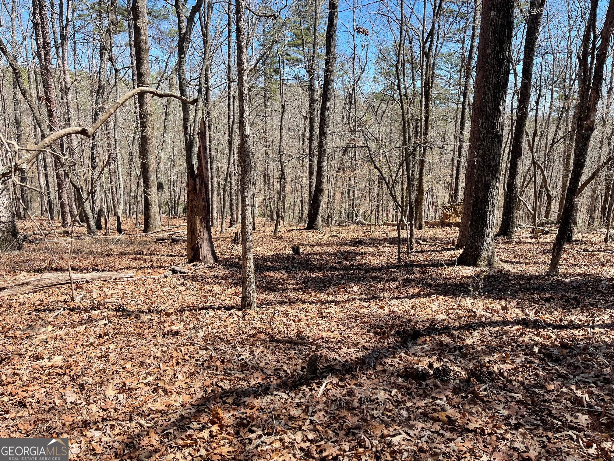Lot 10 Olivia Lane Ball Ground GA 30107