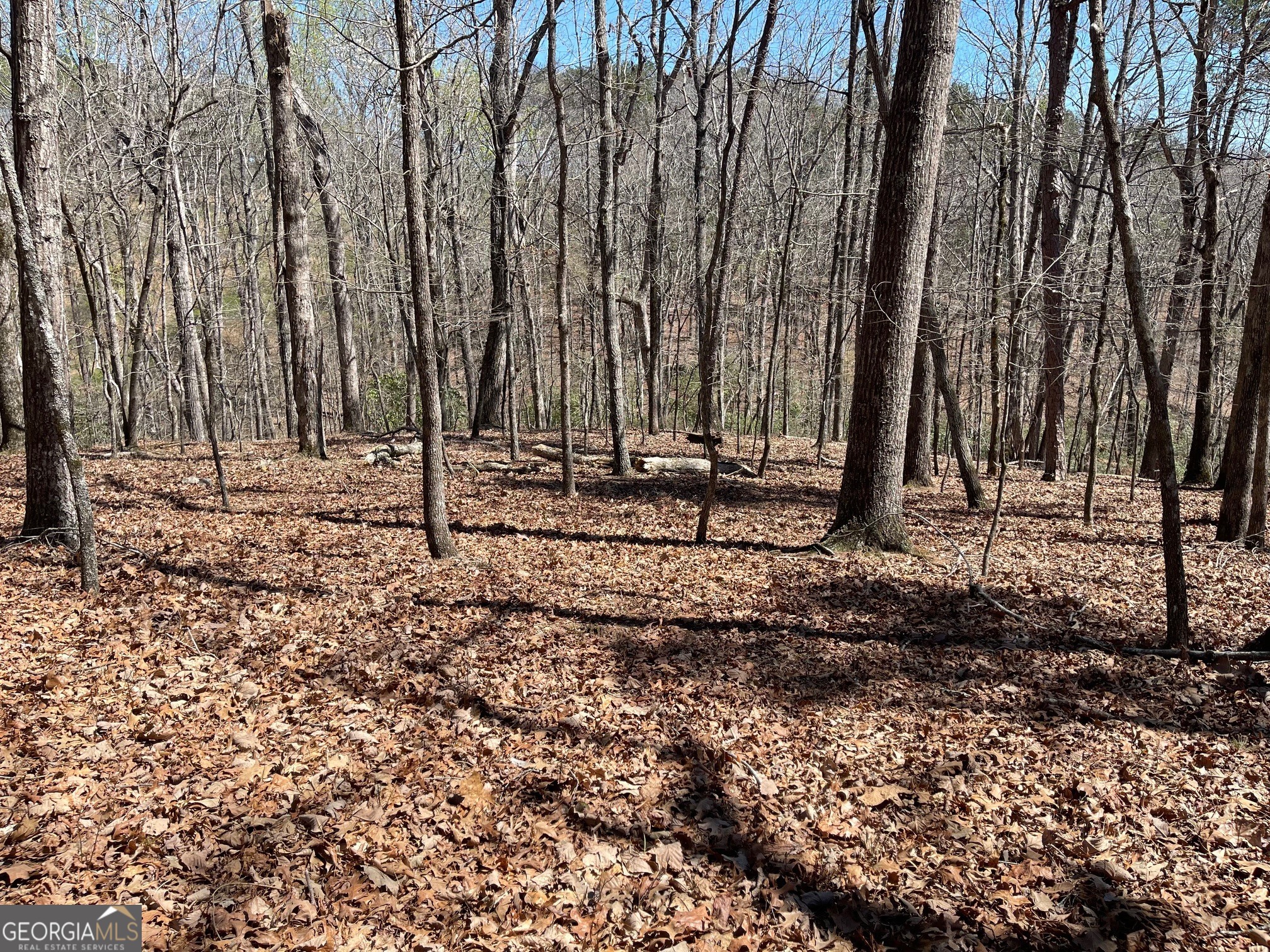 Lot 10 Olivia Lane Ball Ground GA 30107
