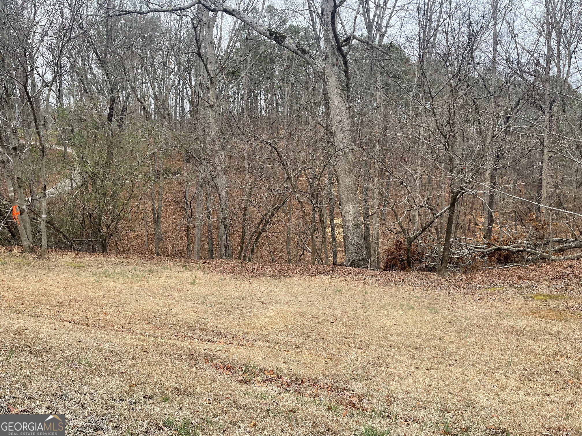 Lot 10 Olivia Lane Ball Ground GA 30107