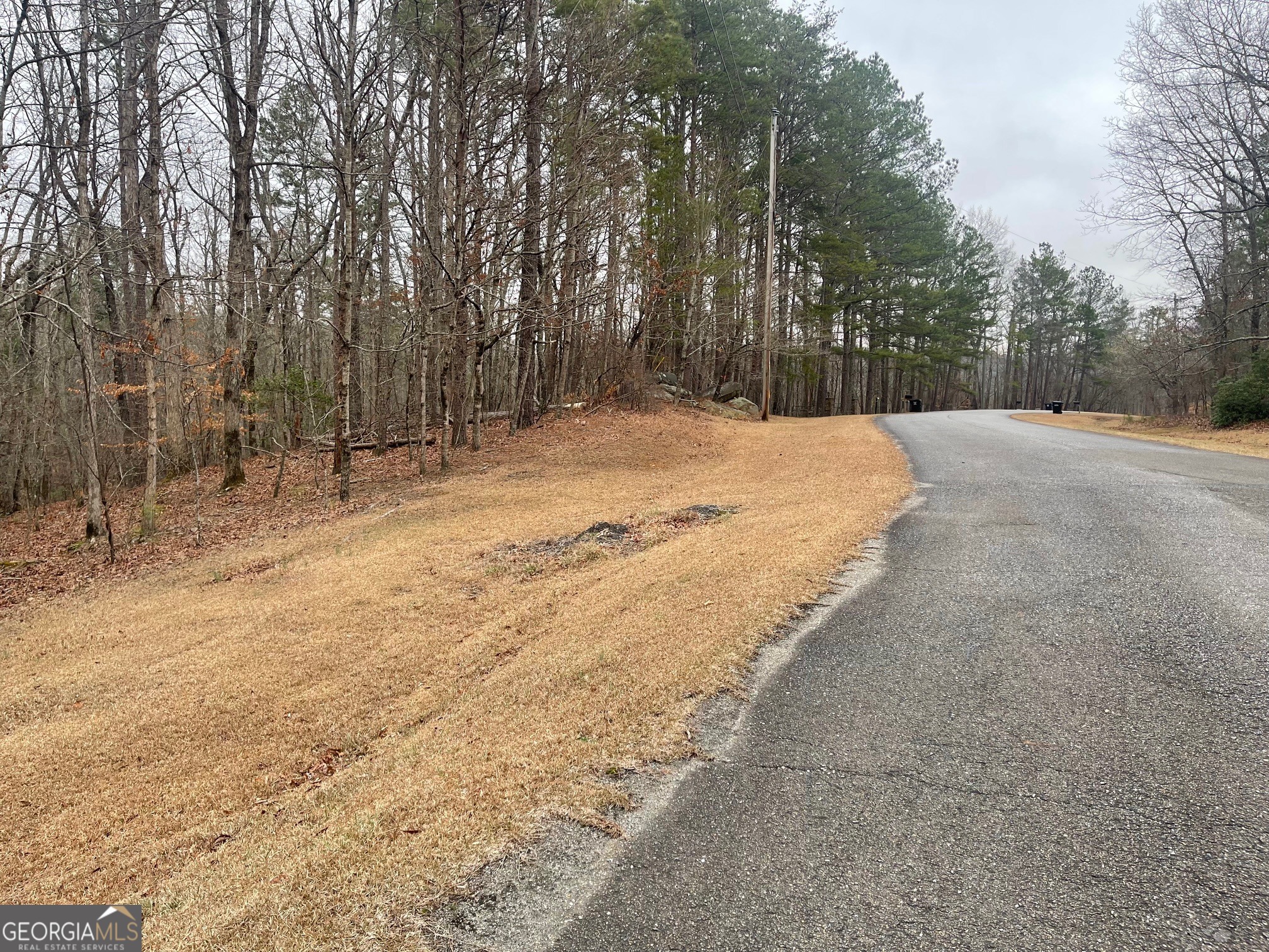 Lot 10 Olivia Lane Ball Ground GA 30107