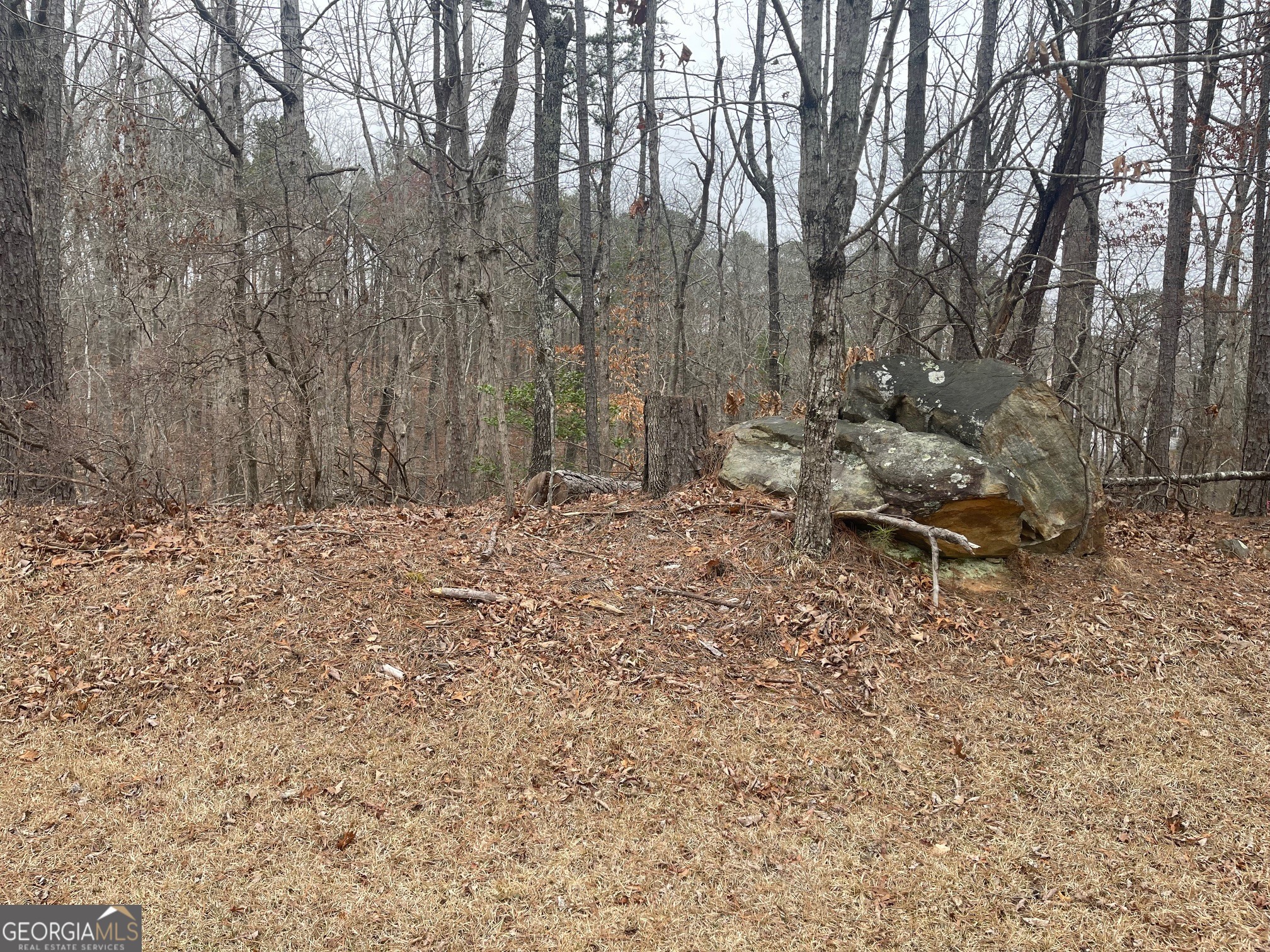 Lot 10 Olivia Lane Ball Ground GA 30107