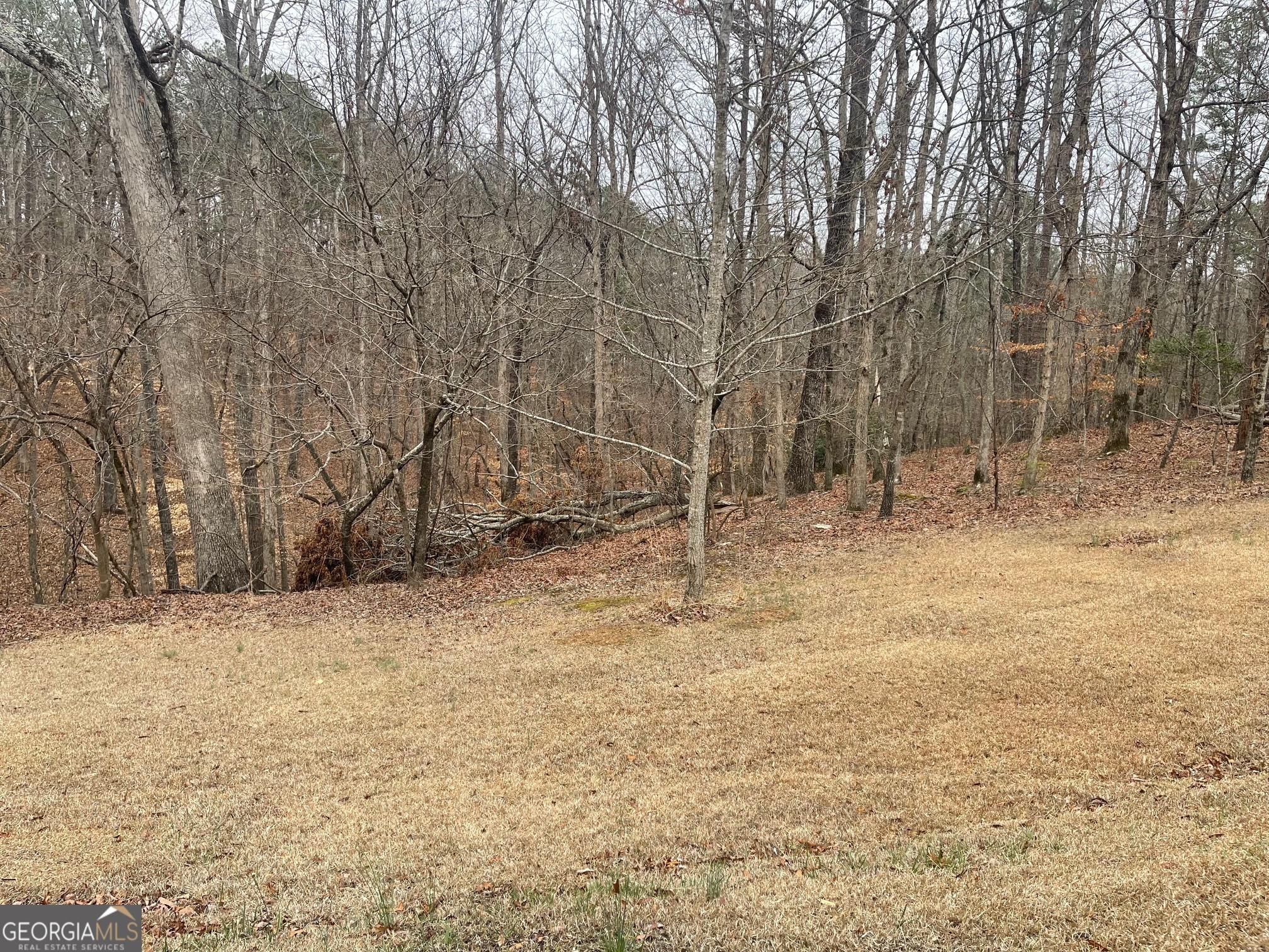 Lot 10 Olivia Lane Ball Ground GA 30107