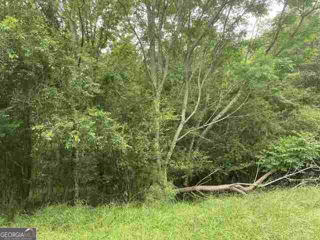0 River Birch Lane Colbert GA 30628
