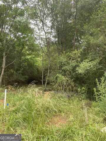0 River Birch Lane Colbert GA 30628