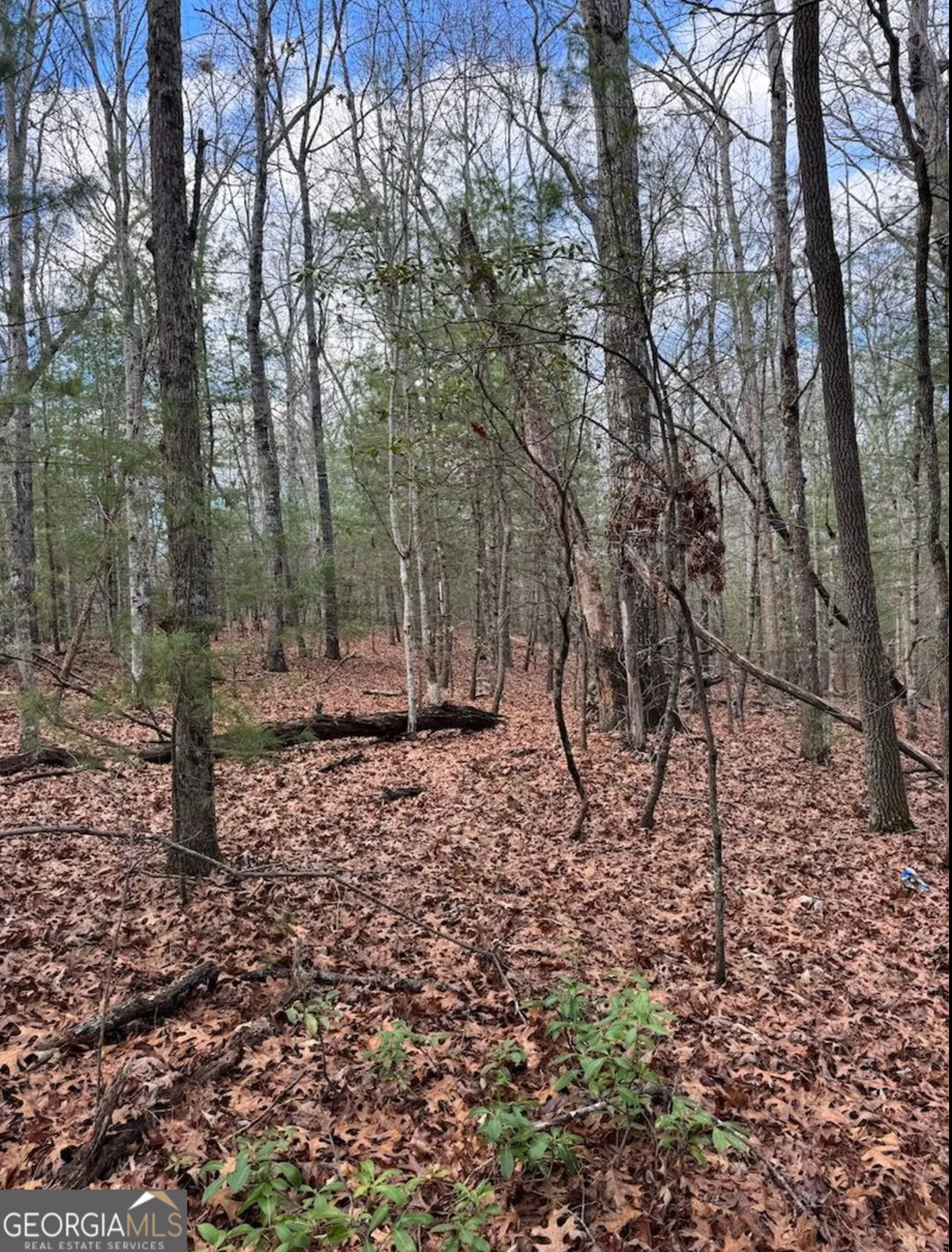 001 Fish Cove Road Blairsville GA 30512