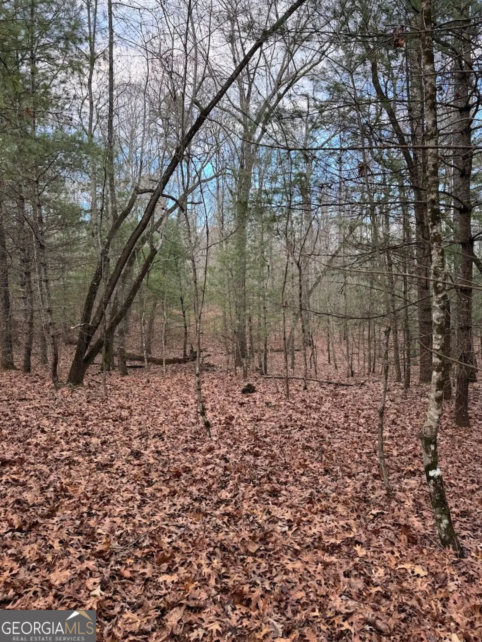 001 Fish Cove Road Blairsville GA 30512