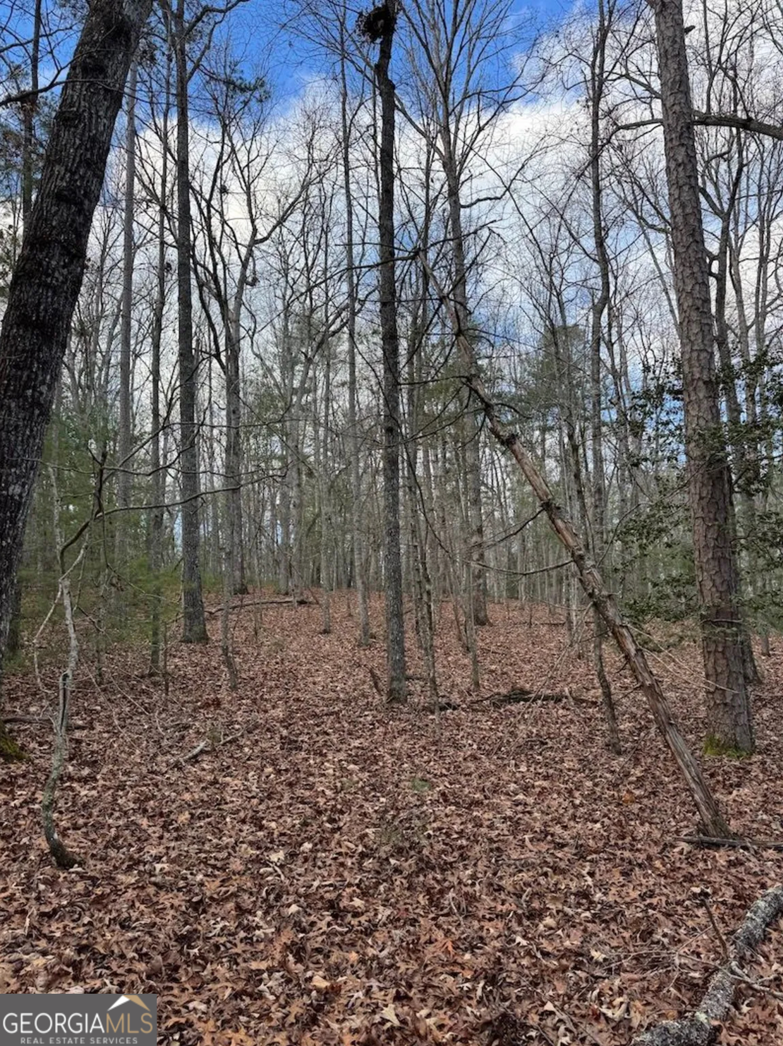 001 Fish Cove Road Blairsville GA 30512