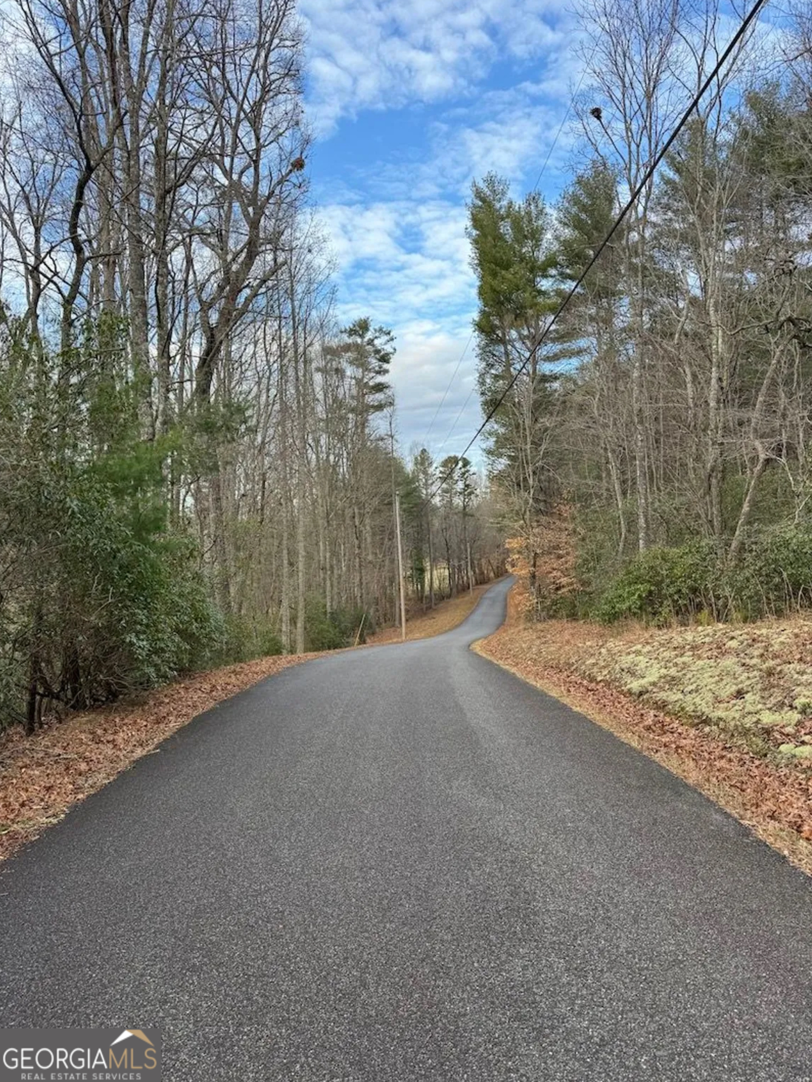 001 Fish Cove Road Blairsville GA 30512