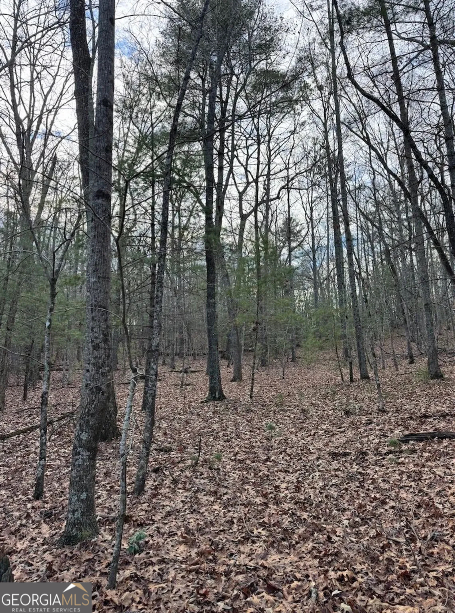 001 Fish Cove Road Blairsville GA 30512